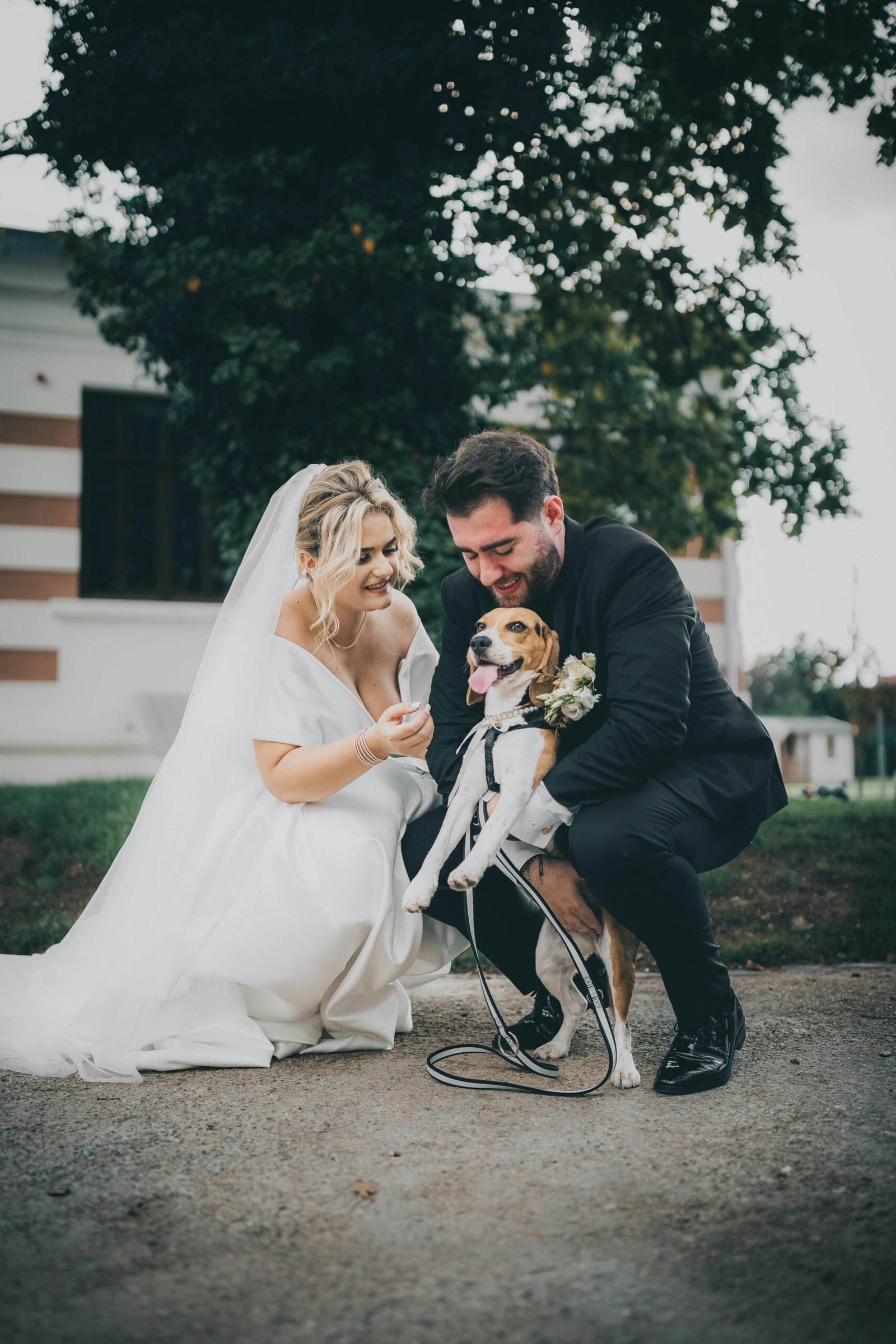 A happy couple in wedding attire cherishes a moment with their pet beagle outdoors.